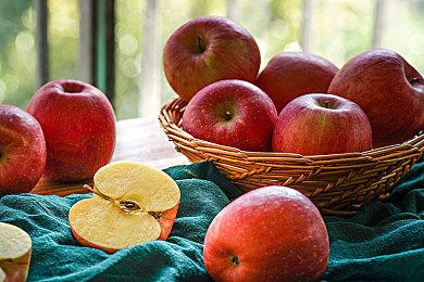 动作肉鸽游戏《数字魅影：极限竞赛》抢先体验4月25日上线 定价68元